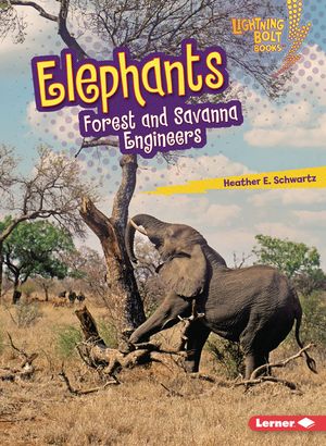 Elephants: Forest and Savanna Engineers image number 0