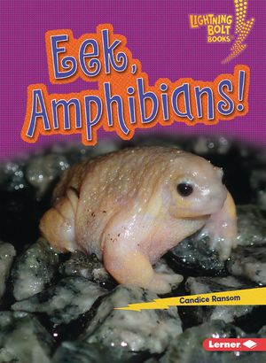 Eek, Amphibians! image number 0