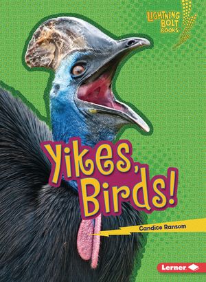 Yikes, Birds! image number 0