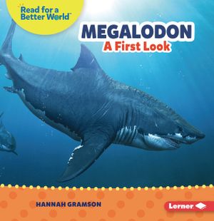 Megalodon: A First Look image number 0