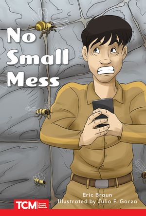 No Small Mess image number 0