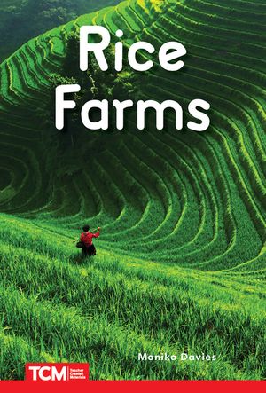 Rice Farms image number 0