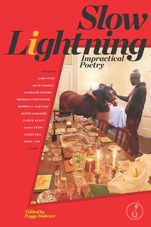 Slow Lightning: Impractical Poetry image number 0