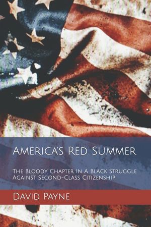 America's Red Summer: The Bloody Chapter In A Black Struggle Against Second-Class Citizenship image number 0