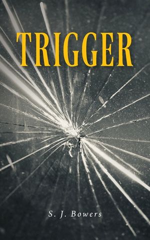 Trigger image number 0