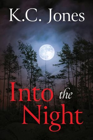Into the Night image number 0
