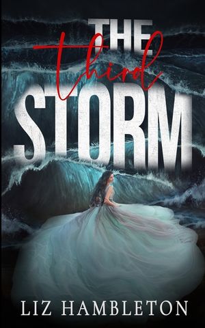 The Third Storm image number 0