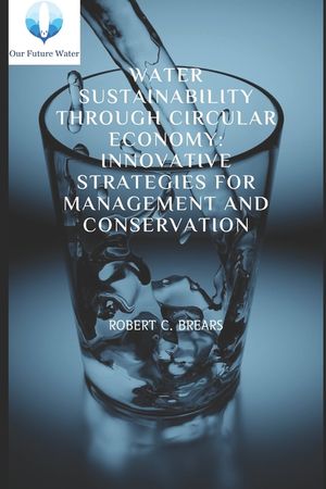 Water Sustainability through Circular Economy: Innovative Strategies for Management and Conservation image number 0