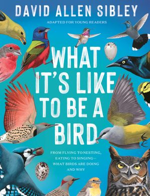 What's It Like to Be a Bird: From Flying to Nesting, Eating to Singing--What Birds Are Doing, and Why image number 0