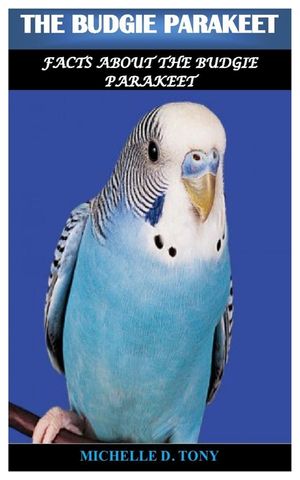 The Budgie Parakeet: Facts About The Budgie Parakeet image number 0