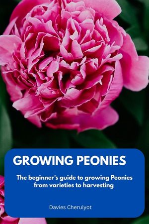 Growing Peonies: The beginner's guide to growing Peonies from varieties to harvesting image number 0