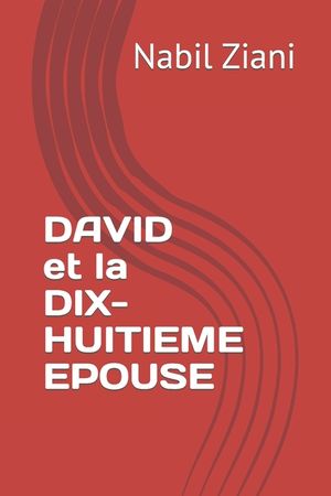 David et la dix-huiti&egrave;me &eacute;pouse image number 0