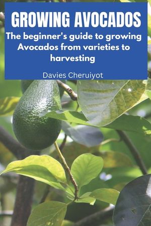 Growing Avocados: The beginner's guide to growing Avocados from varieties to harvesting image number 0