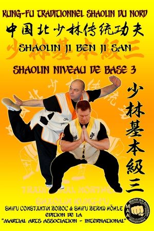 Shaolin Niveau de Base 3 image number 0
