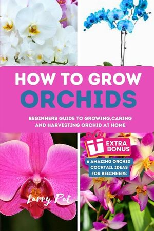 How to Grow Orchids: Beginners guide to growing, caring and harvesting orchid at home image number 0