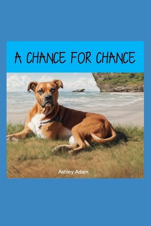 A Chance for chance image number 0