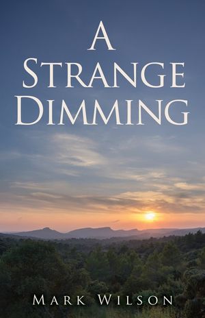 A Strange Dimming image number 0