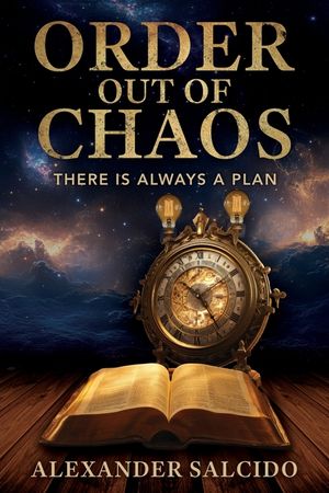 Order Out of Chaos: There is Always a Plan image number 0