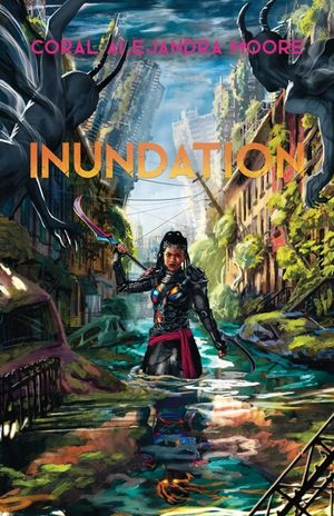 Inundation image number 0
