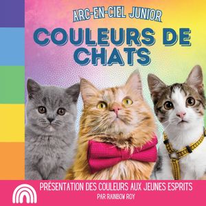 Arc-en-Ciel Junior, Couleurs de Chats: Pr&eacute;sentation des couleurs aux jeunes esprits image number 0