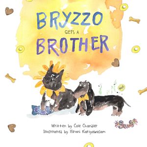 Bryzzo Gets a Brother image number 0