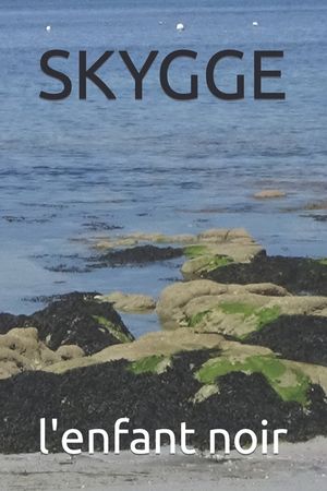 Skygge image number 0