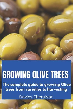Growing Olive Trees: The complete guide to growing Olive trees from varieties to harvesting image number 0