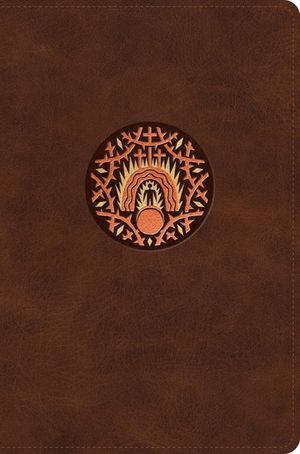 The Biggest Story Holy Bible for Kids (Trutone, Brown, Living Hope Design, Indexed) image number 0