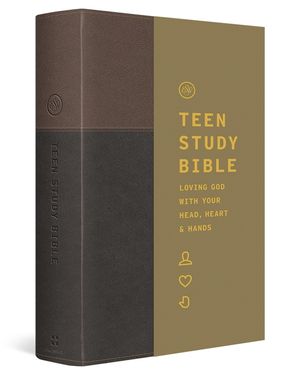 ESV Teen Study Bible (Trutone, Slate/Umber) image number 0