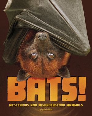 Bats!: Mysterious and Misunderstood Mammals image number 0