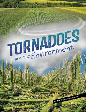 Tornadoes and the Environment image number 0