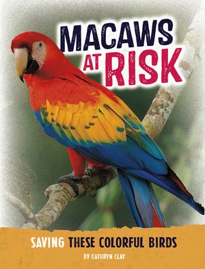 Macaws at Risk: Saving These Colorful Birds image number 0
