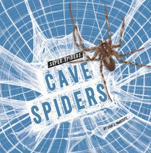Cave Spiders image number 0