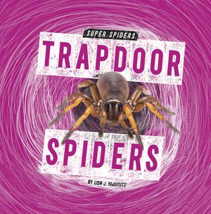 Trapdoor Spiders image number 0