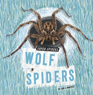 Wolf Spiders image number 0