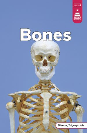 Bones image number 0