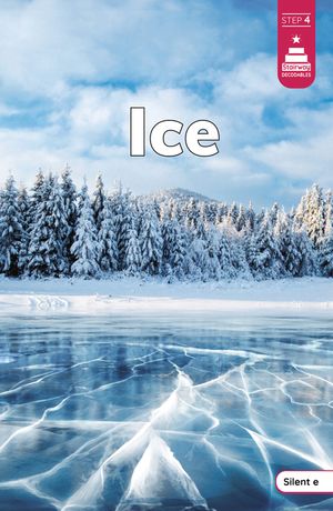 Ice image number 0