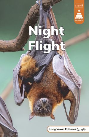 Night Flight image number 0