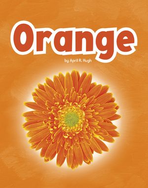 Orange image number 0