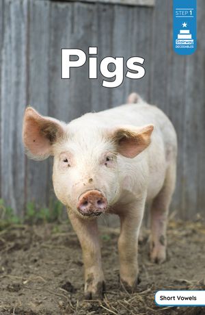 Pigs image number 0