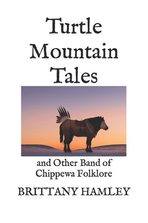 Turtle Mountain Tales: and Other Band of Chippewa Folklore image number 0