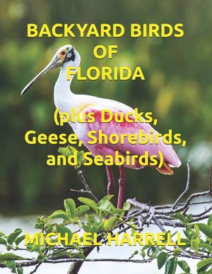 Backyard Birds of Florida image number 0