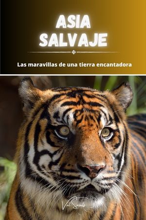 Asia salvaje: las maravillas de una tierra encantadora image number 0