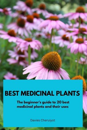 Best Medicinal Plants: The beginner's guide to 20 medicinal plants and their uses image number 0