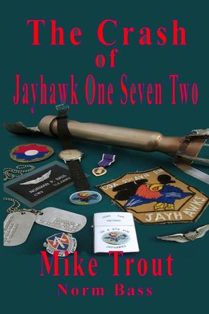 The Crash of Jayhawk One Seven Two image number 0