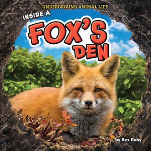 Inside a Fox's Den image number 0