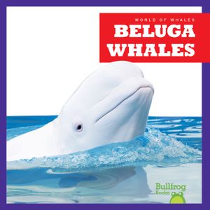 Beluga Whales image number 0