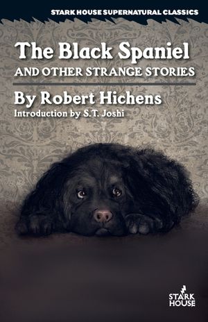 The Black Spaniel and Other Strange Stories image number 0