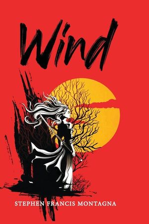Wind image number 0