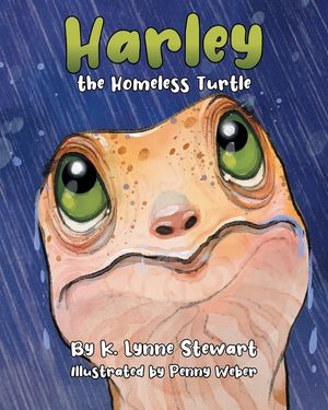 Harley the Homeless Turtle image number 0
